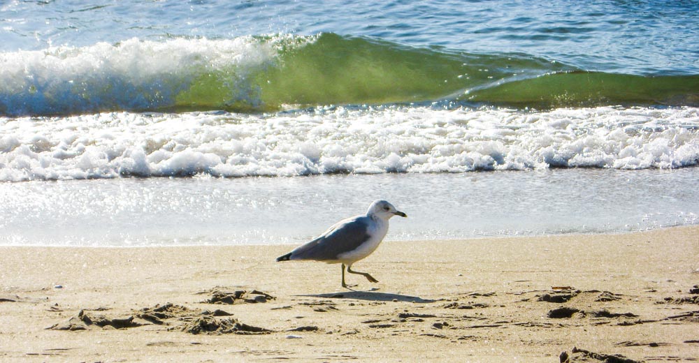 Old Orchard Beach Cottages Image